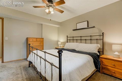 Tiny photo for 1011 South Avenue, Woodland Park, CO 80863 (MLS # 1830015)