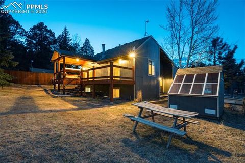 Tiny photo for 1011 South Avenue, Woodland Park, CO 80863 (MLS # 1830015)