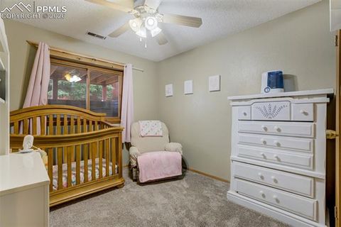 Tiny photo for 1011 South Avenue, Woodland Park, CO 80863 (MLS # 1830015)