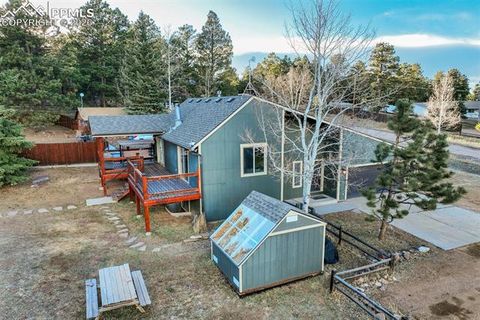 Tiny photo for 1011 South Avenue, Woodland Park, CO 80863 (MLS # 1830015)