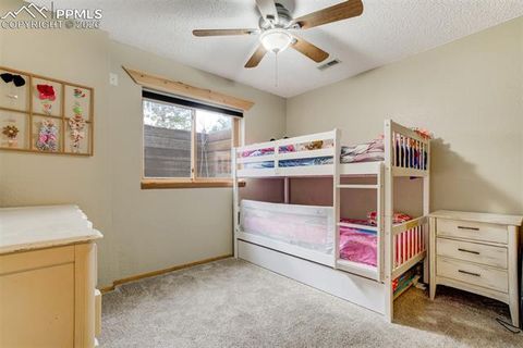 Tiny photo for 1011 South Avenue, Woodland Park, CO 80863 (MLS # 1830015)