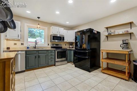 Tiny photo for 1011 South Avenue, Woodland Park, CO 80863 (MLS # 1830015)
