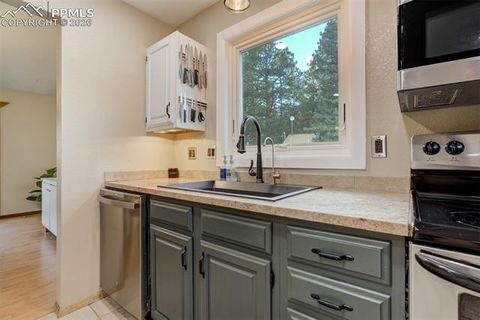 Tiny photo for 1011 South Avenue, Woodland Park, CO 80863 (MLS # 1830015)
