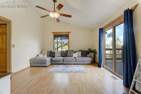 Tiny photo for 1011 South Avenue, Woodland Park, CO 80863 (MLS # 1830015)