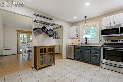 Tiny photo for 1011 South Avenue, Woodland Park, CO 80863 (MLS # 1830015)