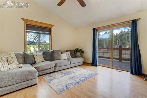 Tiny photo for 1011 South Avenue, Woodland Park, CO 80863 (MLS # 1830015)