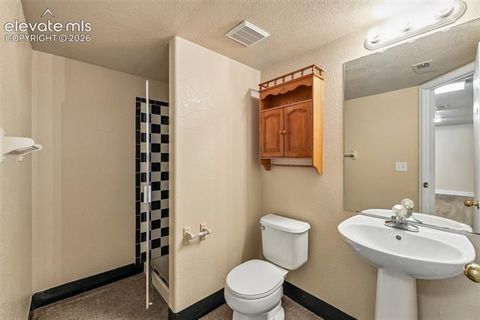 Tiny photo for 6320 Emma Lane, Colorado Springs, CO 80922 (MLS # 4933717)