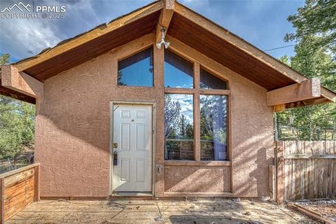 Tiny photo for 747 Trout Haven Road, Florissant, CO 80816 (MLS # 6027823)