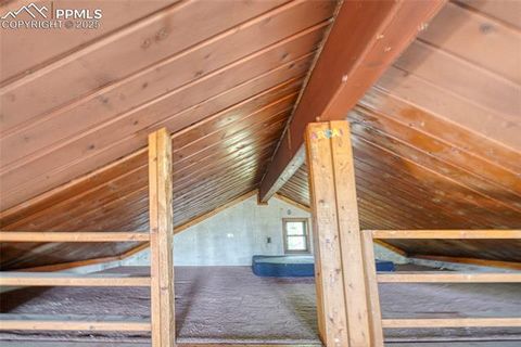 Tiny photo for 747 Trout Haven Road, Florissant, CO 80816 (MLS # 6027823)