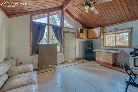 Tiny photo for 747 Trout Haven Road, Florissant, CO 80816 (MLS # 6027823)