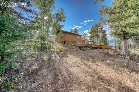 Tiny photo for 747 Trout Haven Road, Florissant, CO 80816 (MLS # 6027823)