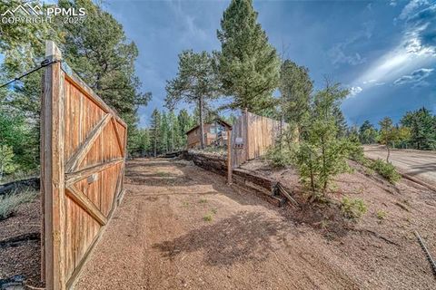 Tiny photo for 747 Trout Haven Road, Florissant, CO 80816 (MLS # 6027823)