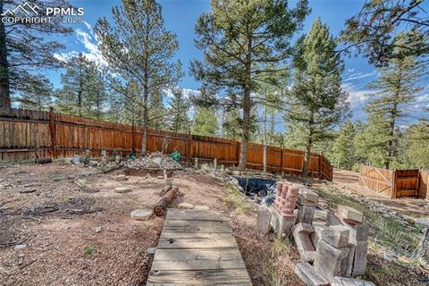 Tiny photo for 747 Trout Haven Road, Florissant, CO 80816 (MLS # 6027823)