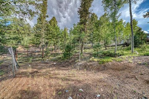 Tiny photo for 747 Trout Haven Road, Florissant, CO 80816 (MLS # 6027823)