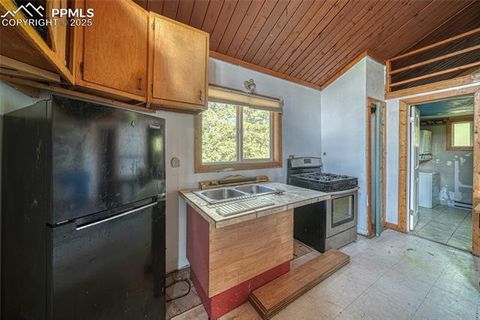 Tiny photo for 747 Trout Haven Road, Florissant, CO 80816 (MLS # 6027823)