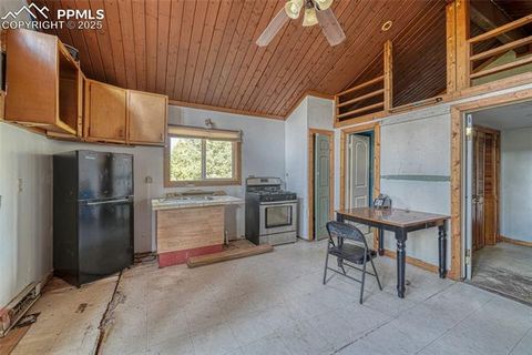 Tiny photo for 747 Trout Haven Road, Florissant, CO 80816 (MLS # 6027823)