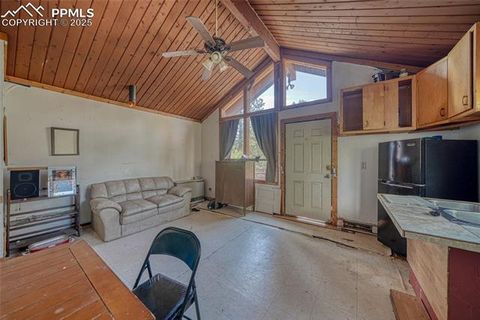 Tiny photo for 747 Trout Haven Road, Florissant, CO 80816 (MLS # 6027823)