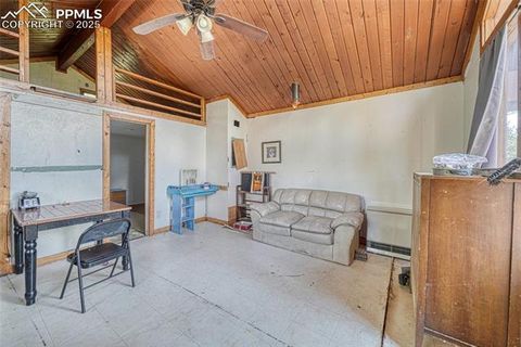 Tiny photo for 747 Trout Haven Road, Florissant, CO 80816 (MLS # 6027823)