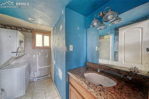 Tiny photo for 747 Trout Haven Road, Florissant, CO 80816 (MLS # 6027823)