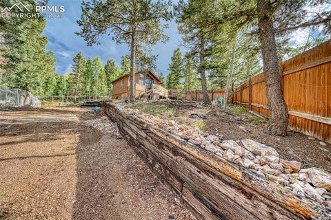 Tiny photo for 747 Trout Haven Road, Florissant, CO 80816 (MLS # 6027823)
