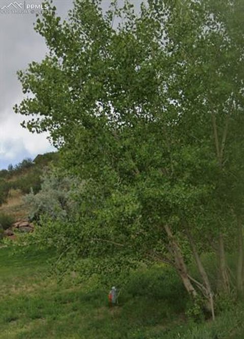 Photo of 1223 Ethereal Circle, Colorado Springs, CO 80904 (MLS # 8449611)