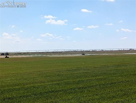 Photo of 23500 County Road 5, Rush, CO 80833 (MLS # 4214085)