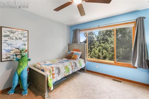Tiny photo for 405 Sun Valley Drive, Woodland Park, CO 80863 (MLS # 8072591)