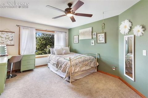 Tiny photo for 405 Sun Valley Drive, Woodland Park, CO 80863 (MLS # 8072591)