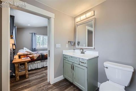 Tiny photo for 352 Peak View Circle, Florissant, CO 80816 (MLS # 9826485)