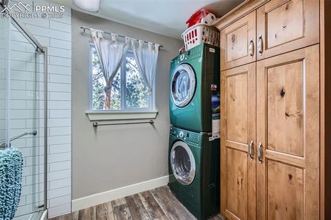 Tiny photo for 352 Peak View Circle, Florissant, CO 80816 (MLS # 9826485)
