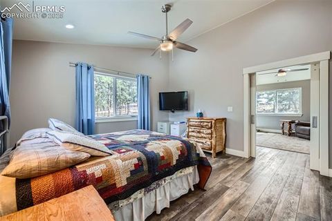 Tiny photo for 352 Peak View Circle, Florissant, CO 80816 (MLS # 9826485)