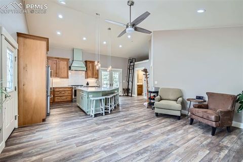 Tiny photo for 352 Peak View Circle, Florissant, CO 80816 (MLS # 9826485)
