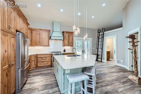 Tiny photo for 352 Peak View Circle, Florissant, CO 80816 (MLS # 9826485)