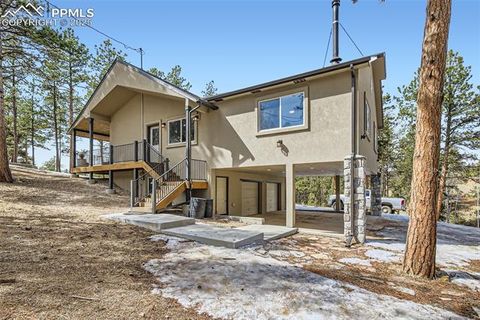 Tiny photo for 352 Peak View Circle, Florissant, CO 80816 (MLS # 9826485)