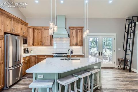 Tiny photo for 352 Peak View Circle, Florissant, CO 80816 (MLS # 9826485)