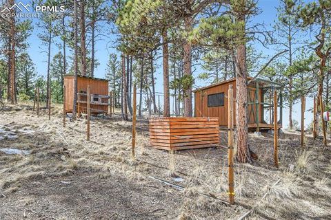Tiny photo for 352 Peak View Circle, Florissant, CO 80816 (MLS # 9826485)