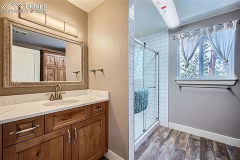 Tiny photo for 352 Peak View Circle, Florissant, CO 80816 (MLS # 9826485)