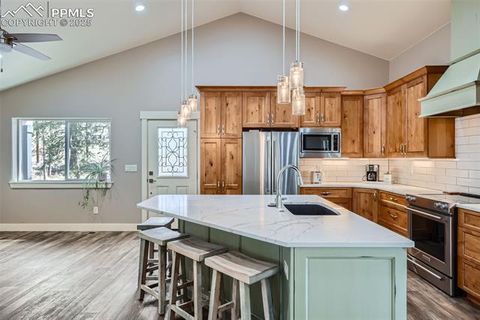 Tiny photo for 352 Peak View Circle, Florissant, CO 80816 (MLS # 9826485)
