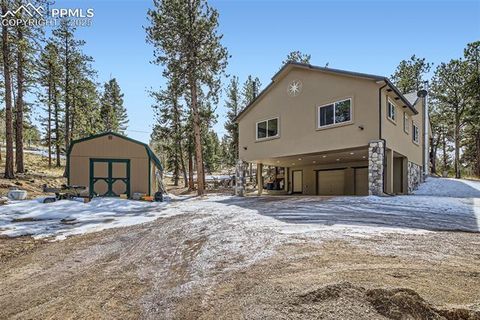 Photo of 352 Peak View Circle, Florissant, CO 80816 (MLS # 9826485)