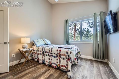 Tiny photo for 352 Peak View Circle, Florissant, CO 80816 (MLS # 9826485)