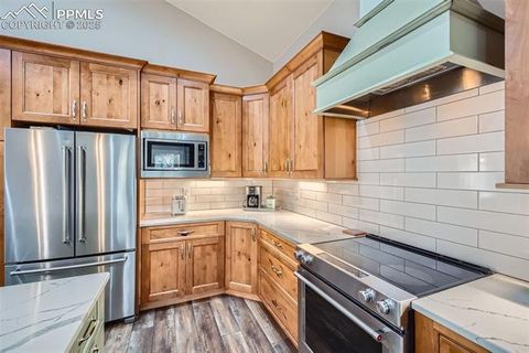 Tiny photo for 352 Peak View Circle, Florissant, CO 80816 (MLS # 9826485)