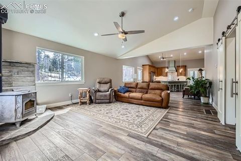 Tiny photo for 352 Peak View Circle, Florissant, CO 80816 (MLS # 9826485)