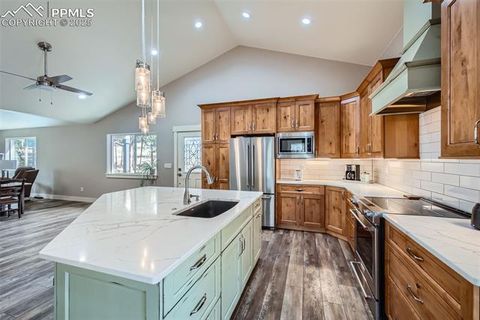 Tiny photo for 352 Peak View Circle, Florissant, CO 80816 (MLS # 9826485)