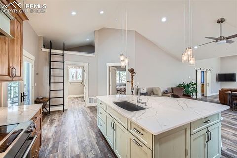 Tiny photo for 352 Peak View Circle, Florissant, CO 80816 (MLS # 9826485)