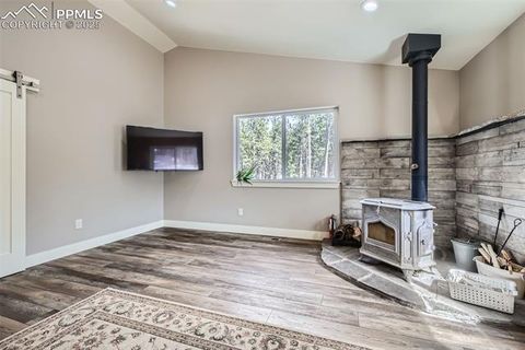 Tiny photo for 352 Peak View Circle, Florissant, CO 80816 (MLS # 9826485)