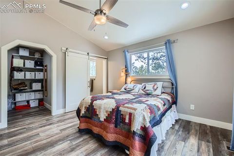 Tiny photo for 352 Peak View Circle, Florissant, CO 80816 (MLS # 9826485)