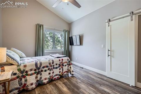 Tiny photo for 352 Peak View Circle, Florissant, CO 80816 (MLS # 9826485)