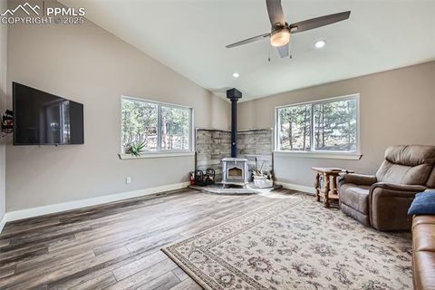 Tiny photo for 352 Peak View Circle, Florissant, CO 80816 (MLS # 9826485)