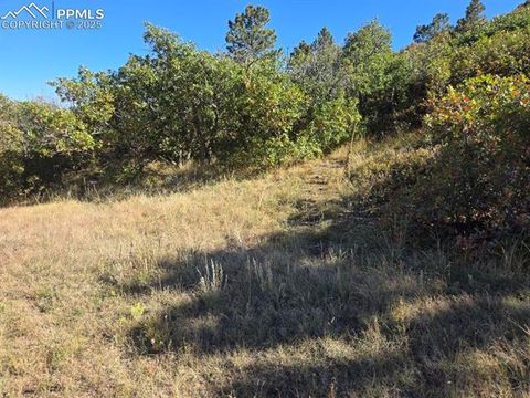 Photo of 23 N 15th Street, Colorado Springs, CO 80926 (MLS # 7975336) Photo of 23 N 15th Street, Colorado Springs, CO 80926 (MLS # 7975336)