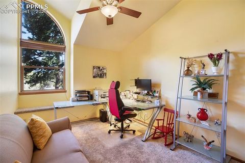 Tiny photo for 727 Pinon Ridge Drive, Woodland Park, CO 80863 (MLS # 4278518)